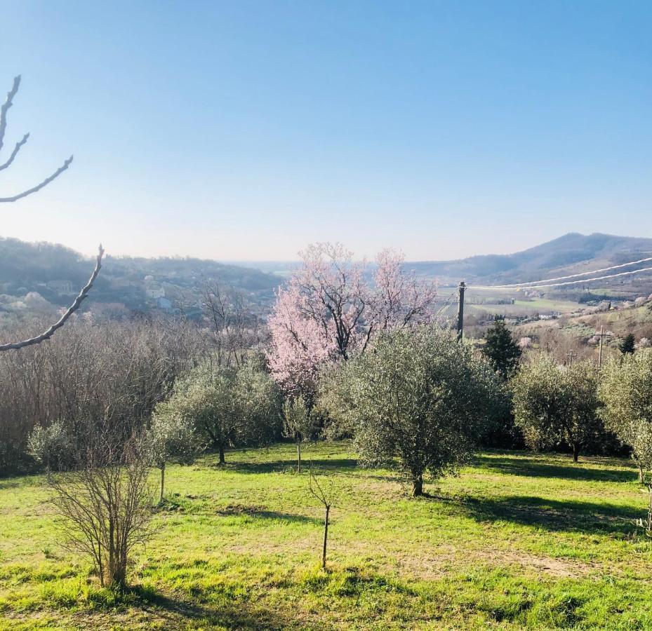 Tavern Di Arqua' Arqua Petrarca Exteriör bild